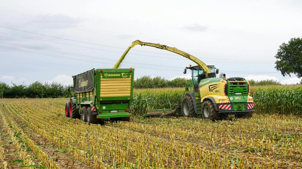 Maíz argentino: éxito extraordinario en 2025/26 enfrentará nuevos&nbsp;obstáculos