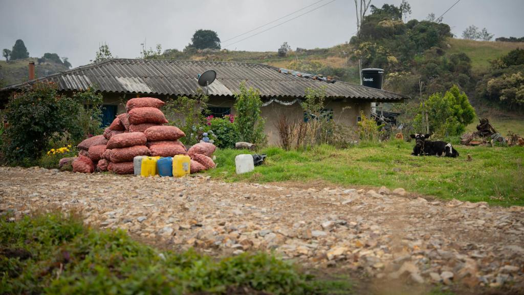 Acusación falsa de robo de vacas encubría contrabando de&nbsp;ganado