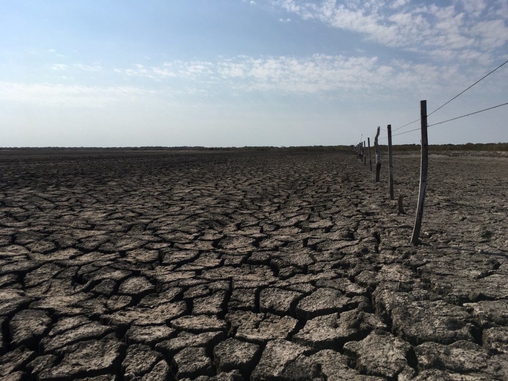 Asistencia agropecuaria: emergencia declarada en Chubut, Santa Cruz y&nbsp;Mendoza