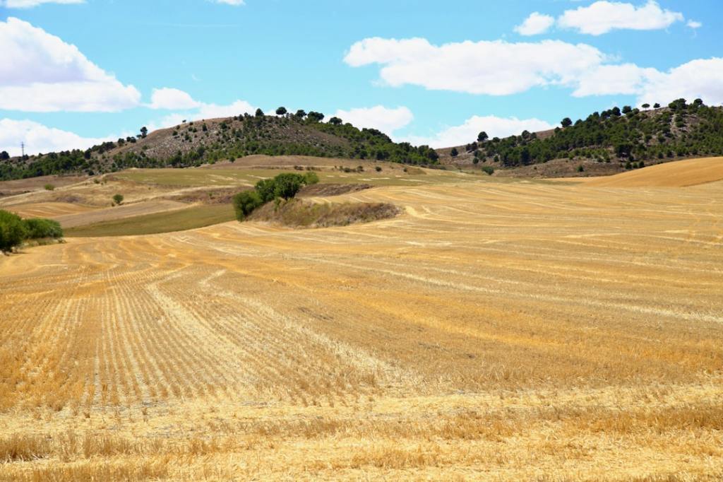 Romper esquemas: por qué el agro necesita dejar la&nbsp;dicotomia