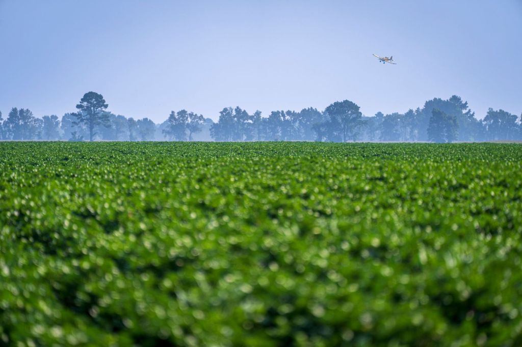 Del ingenio al cielo: bioetanol argentino impulsa avión agrícola&nbsp;único