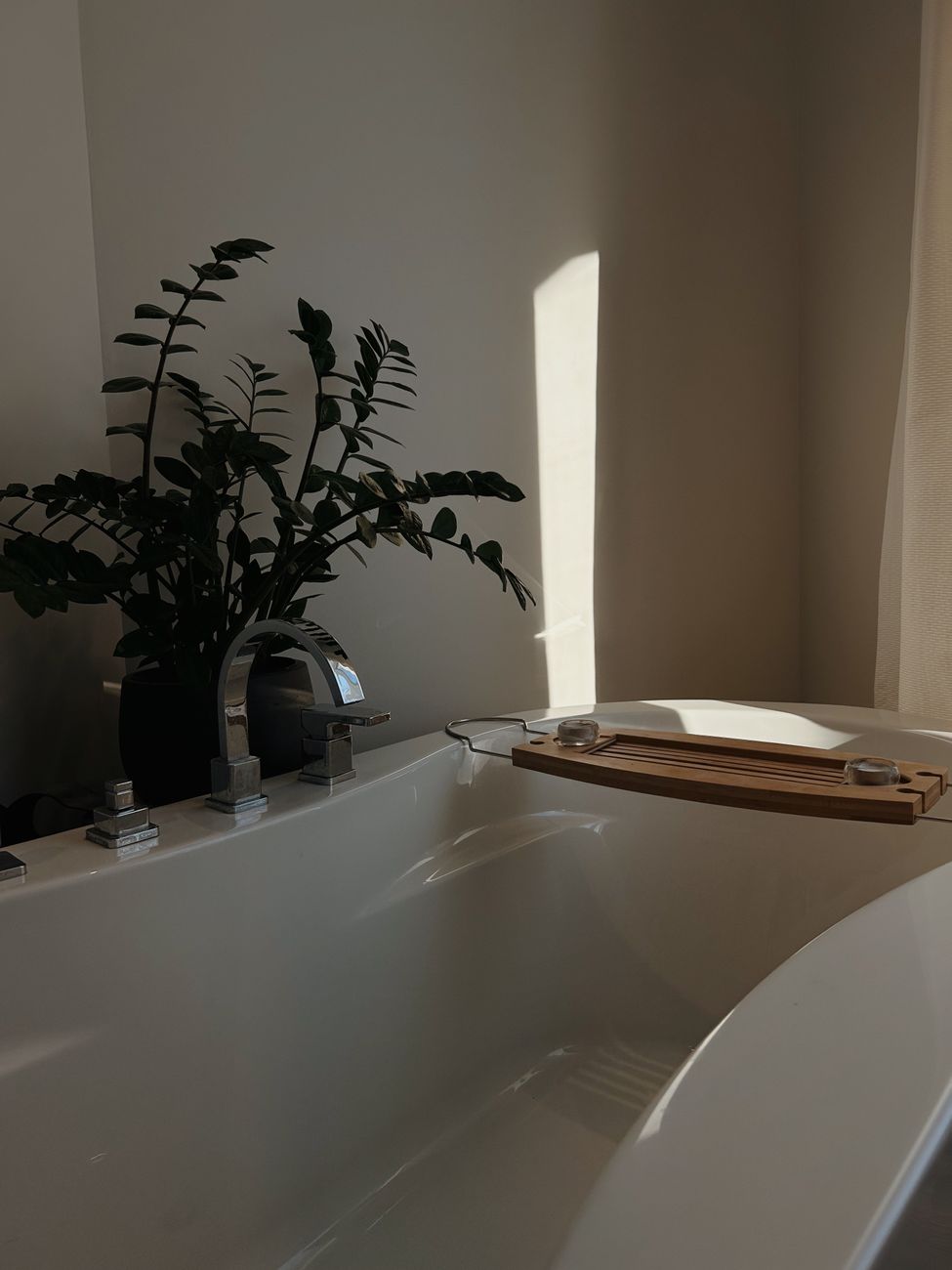 Baño con vida: qué plantas elegir para espacios húmedos